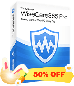 Wise care 365