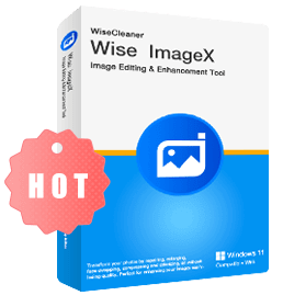 Wise ImageX