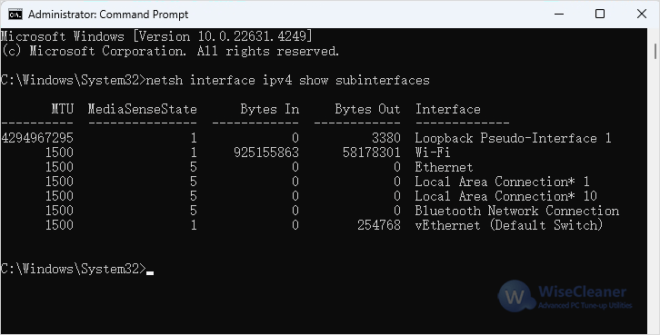 Identify the Network Interface